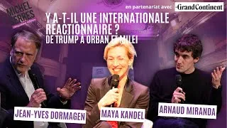Miniature : Y a t il une internationale réactionnaire   De Donald Trump à Viktor Orban et Javier Milei