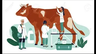Miniature : [Webinaire] - Projet TISARU, pour un renforcement du réseau sanitaire des filières ruminants