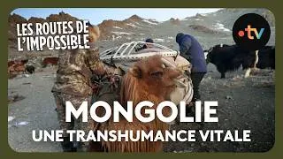 Miniature : Les nomades mongols préparent la transhumance - Les routes de l'impossible