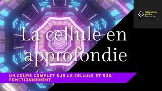 Miniature : La cellules, en approfondie