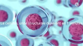 Miniature : Cours en 1 minutes : La cellule, unité structurale du vivant. 6eme