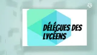 Miniature : Vidéo de présentation du projet délégué des lycéens