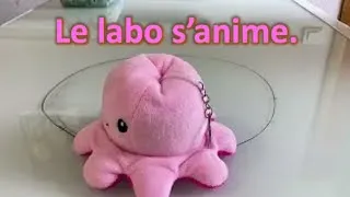 Miniature : Le labo s'anime 😃
