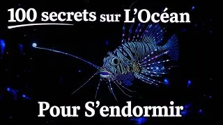 Miniature : 100 Faits Relaxants Sur L'Océan Pour S'endormir