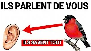 Miniature : Ce que les oiseaux de votre jardin disent vraiment sur vous