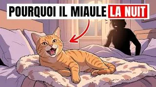 Miniature : Si votre chat MIAULE la nuit, il essaie de vous alerter