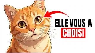 Miniature : Pourquoi votre chatte CHOISIT une seule personne dans la maison