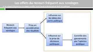 Miniature : Les effets du recours fréquent aux sondages sur la vie démocratique et politique (3/3)