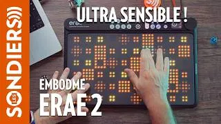 Miniature : ERAE 2 : il peut être tout ce que vous voulez (contrôleur midi, cv, mpe, looper...)