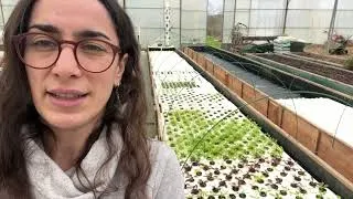 Miniature : Est ce que les plantes peuvent se noyer dans mon bac de culture aquatique ?