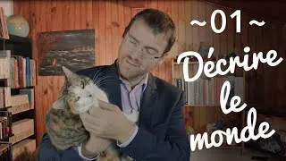 Miniature : ~01~ A quoi ca sert les stats ? Décrire le monde !