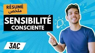 Miniature : Sensibilité consciente : résumé facile | ملخص مبسط