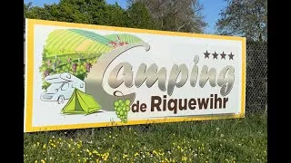 Miniature : Idealement placé en Alsace, le Camping de riquewihr