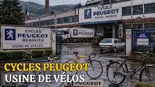Miniature : L’Usine Peugeot de Beaulieu : Comment un Empire de 106 Ans s’est Effondré dans le Silence