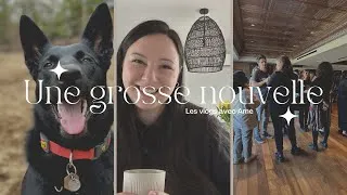 Miniature : 🌴👩🏻‍💻 De retour avec une grosse nouvelle  & des Hauls & des nouvelles de Shelby - 3 au 5 mai