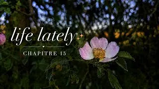 Miniature : Life lately ✨️ Chapitre 15: Un haul en vlog