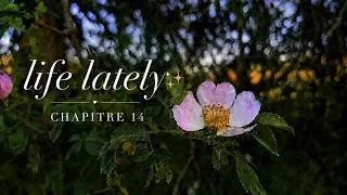 Miniature : Life lately ✨️ Chapitre 14: sa dernier journée en tps
