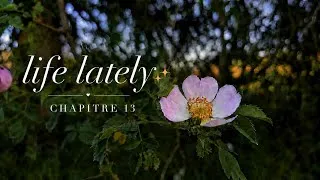 Miniature : Life lately ✨️ Chapitre 13: une chaleur horrible 