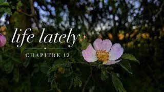 Miniature : Life lately ✨️ Chapitre 12 : Un petit vloggou