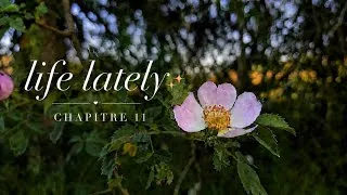 Miniature : Life lately ✨️ Chapitre 11: De choses a vous partager