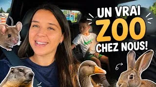Miniature : UN VRAI ZOO CHEZ NOUS !🪿🐀🐇🐿️