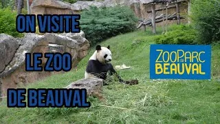 Miniature : On visite le zoo de Beauval // Une famille en camping-car.