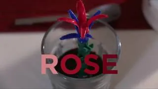 Miniature : 48H de l'ESRA 2018 - ROSE