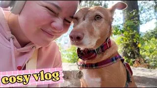 Miniature : j'ai trop de taff & trop de cadeaux 🎁🥹 COSY VLOG