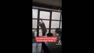 Miniature : Tempête ! 