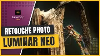 Miniature : Comment transformer ses photos avec Luminar Neo (tuto Retouche Photo)