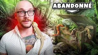 Miniature : J'ai sauvé 100 reptiles !
