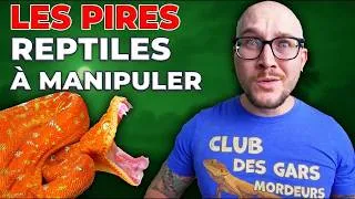 Miniature : Les reptiles de compagnie les plus difficiles à manipuler