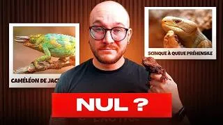 Miniature : Le reptile le plus surcoté de chaque famille !