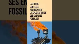 Miniature : Afrique face à l'énergie et l'environnement