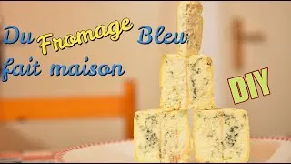 Miniature : Faire du Fromage Bleu maison !!