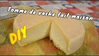 Miniature : Faire du fromage maison au lait de vache !!! 🐮