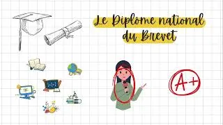 Miniature : Capsule Le collège