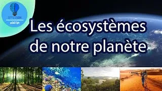 Miniature : À la découverte des écosystèmes fantastiques de notre planète | Let's Learn