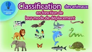 Miniature : Classification des animaux en fonction de leur mode de déplacement | Let's Learn