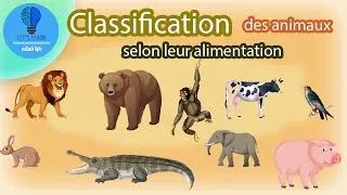 Miniature : Classification des animaux selon leur alimentation | Let's Learn