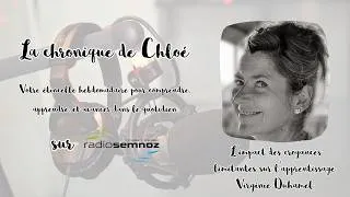 Miniature : 🎙️ Chronique Radio Semnoz - L'impact des croyances limitantes sur l'apprentissage