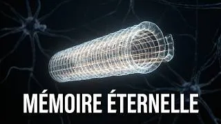 Miniature : Microtubules et mémoire : ce que la science révèle