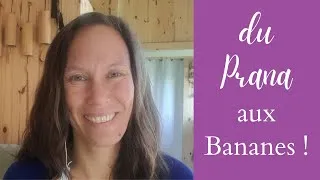 Miniature : du Prana aux Bananes !!!!