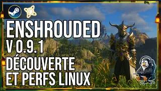 Miniature : ENSHROUDED sur LINUX : Performances après la Grosse MAJ !
