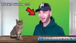 Miniature : CE CHAT VEUX JOUÉ A VALORANT !!! | LEVINCE