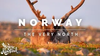 Miniature : NORVÈGE - Le Grand NORD Finnmark | Drone 4K [21:9]