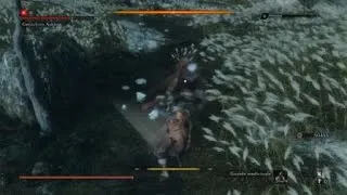 Miniature : Sekiro  - Tutorial Genishiro (no damage)