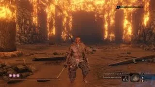 Miniature : Sekiro - Inner Father / Père adoptif, Vision