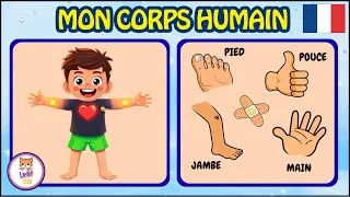 Miniature : LES PARTIES DU CORPS | Vocabulaire pour enfants en français