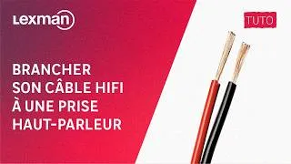 Miniature : 🛠️Tuto : Comment brancher son câble (2x0,75mm²) HI-FI Lexman à une prise haut-parleur RCA ?